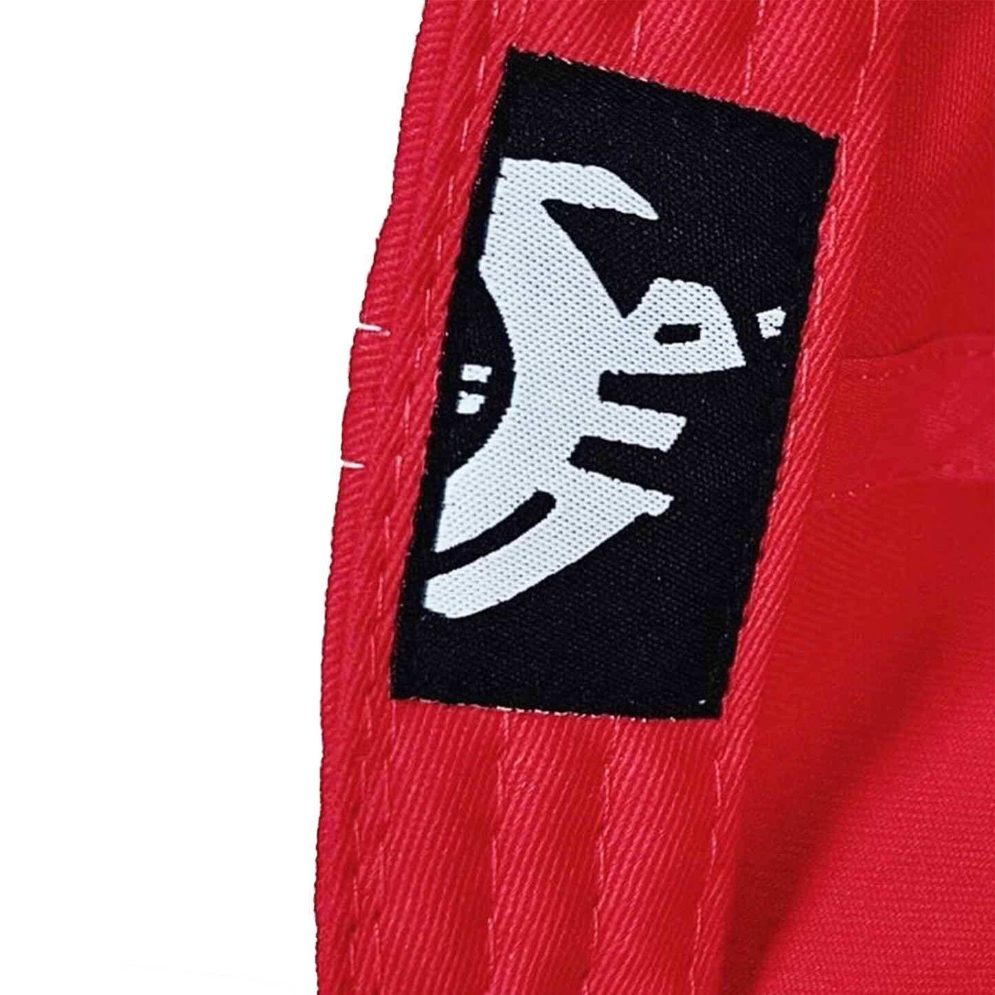 BIG 9AIF EMBROIDERED CAP (PRE-ORDER)